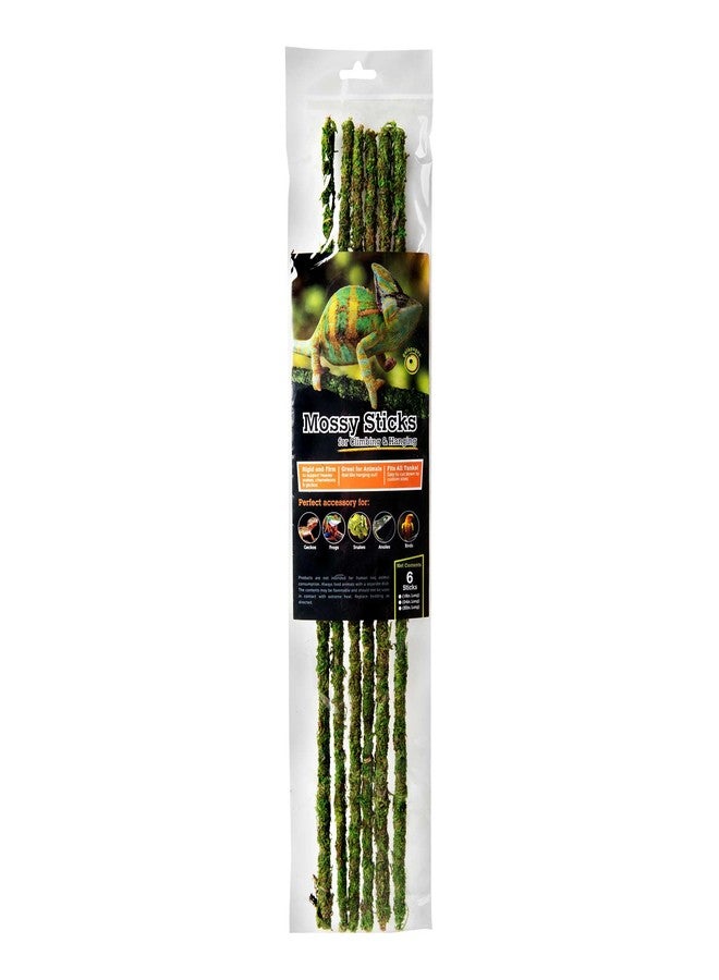 Galapagos Galápagos (05322) Mossy Terrarium Sticks (6 Pack), 32" - Image 1